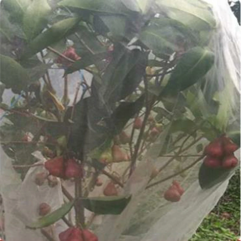 

White nylon net Agricultural and horticultural net plant protective equipment fruit tree insect net bird net