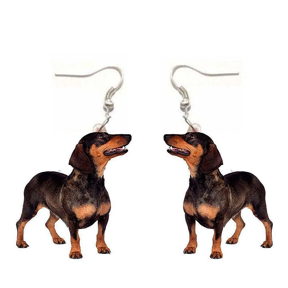 Pendientes de perro salchicha kolczyki de acrílico para mujer y niña, joyería tachuelas acero, regalo de Navidad, 1 par/lote|Aretes| - AliExpress