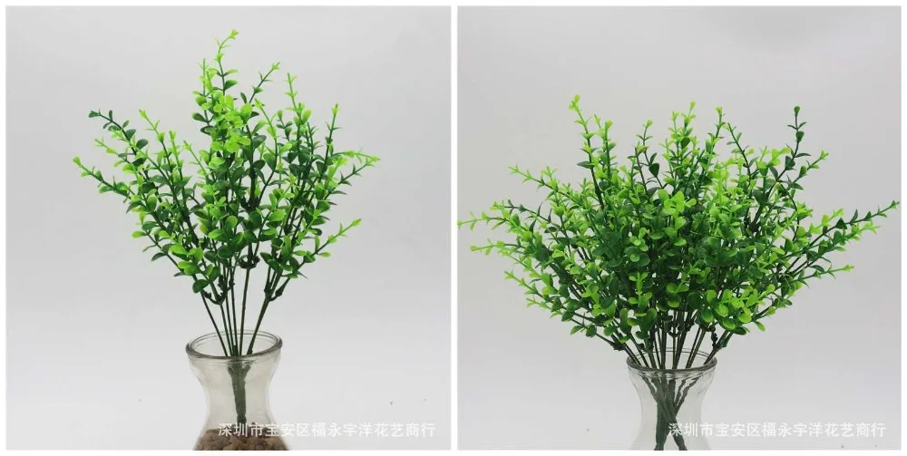 9277758245_2032011975