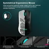 Mouse & Keyboards