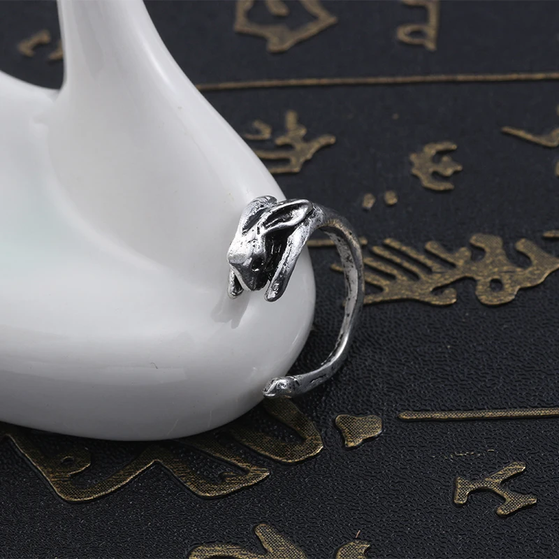 HTB1aS0_XcfrK1RjSszcq6xGGFXaM