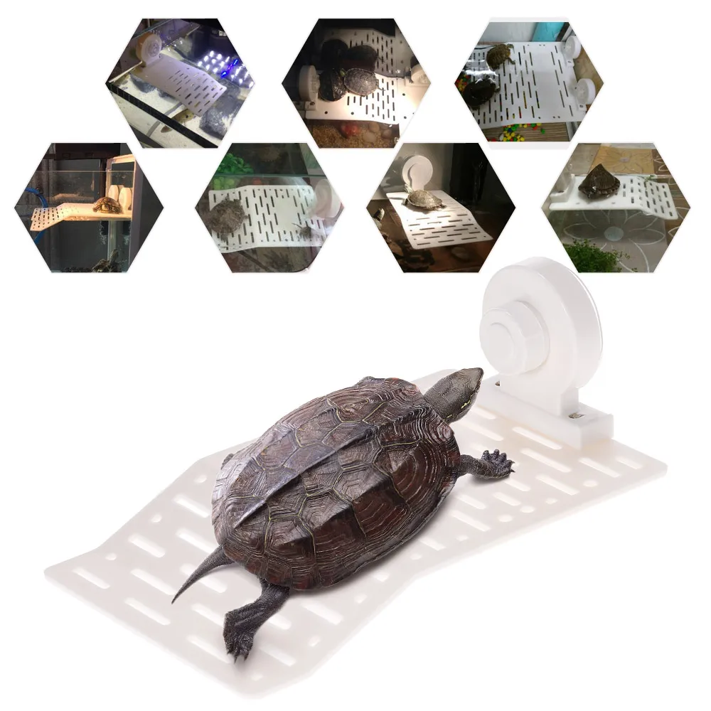 

Turtle Basking Platform Aquarium Tank Floating Amphibian Turtle Pier Topper Island Terrace PC Suction Cup Aquarium Accessories