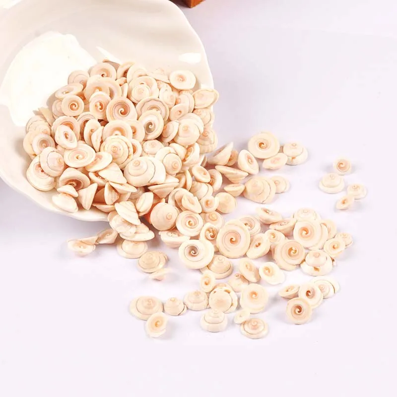 Mini Spiral Natural Shells natural shell ornaments For Flatback Cabochons Handmade Scrapbooking Crafts DIY Aquarium Seashells Home Decoration 50Pcs