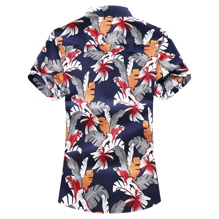 O1CN01LY1H3Z1ygy6Sfqs2Y_!!393166609