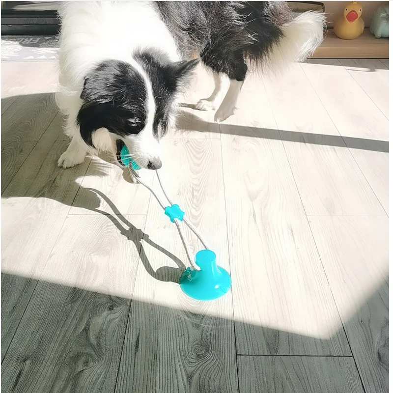 Dog Interactive Suction Cup Push TPR Ball Toys Elastic Ropes Dog Tooth
