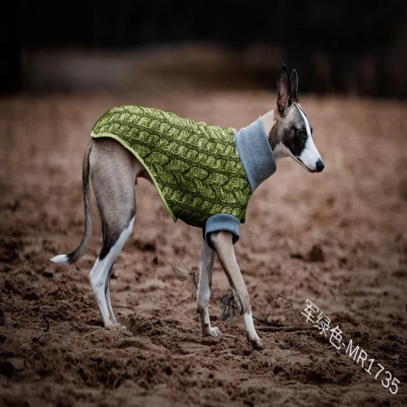 Do Greyhounds Need Pyjamas