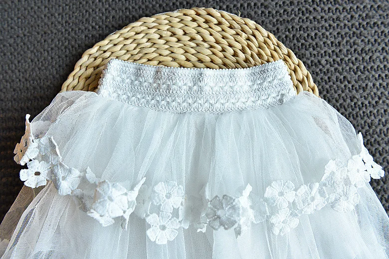 11028929669_302750443