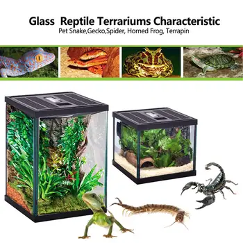 

Reptile Glass Terrarium Ventilated Amphibians Feeding Box Transparent Pet Turtle Gecko Horn Lizard Insect Frog Climbing Case