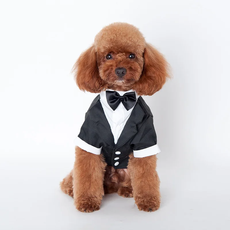 Male Dog costumes xxs dog clothes boy dog suit dog tuxedo for wedding - Цвет: black