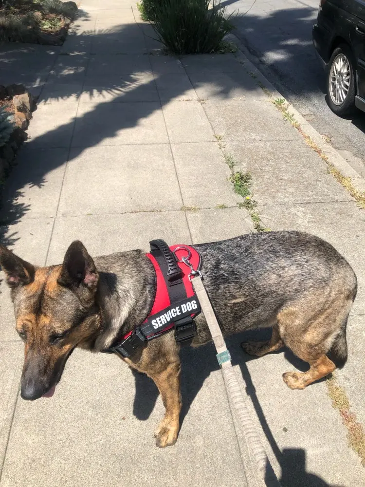 UTB8D13POmnEXKJk43Ubq6zLppXaG