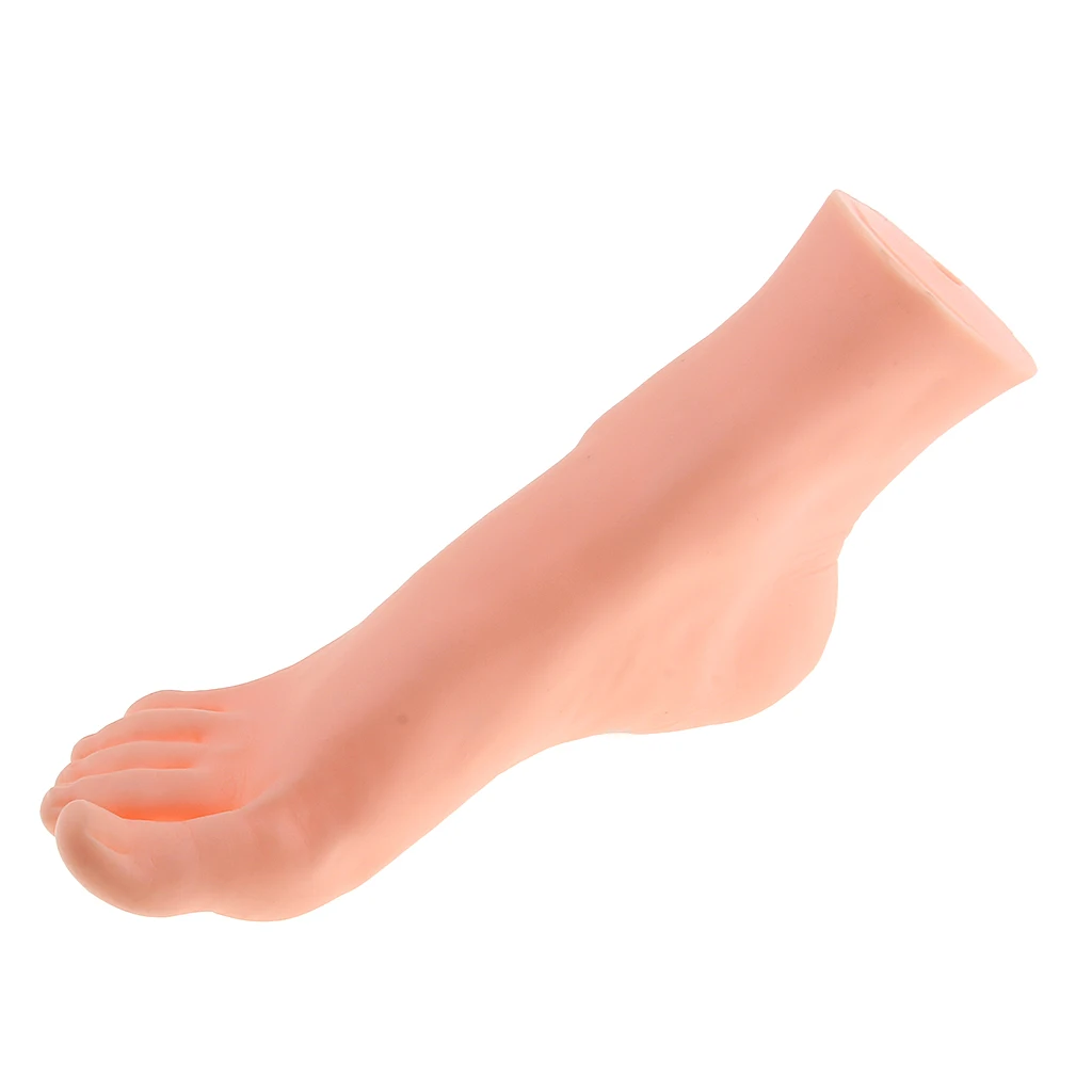 Rubber 23.5cm Right Foot Mannequin Model for Shoes Socks Ankle Chain Display