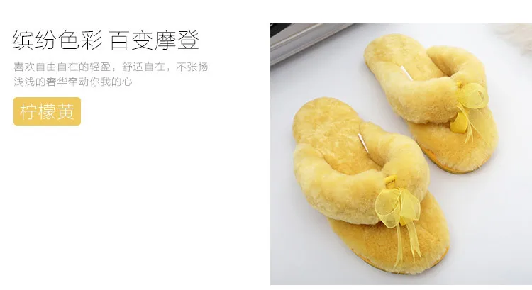 3145726642_1214573647