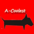 A-Coolest Store