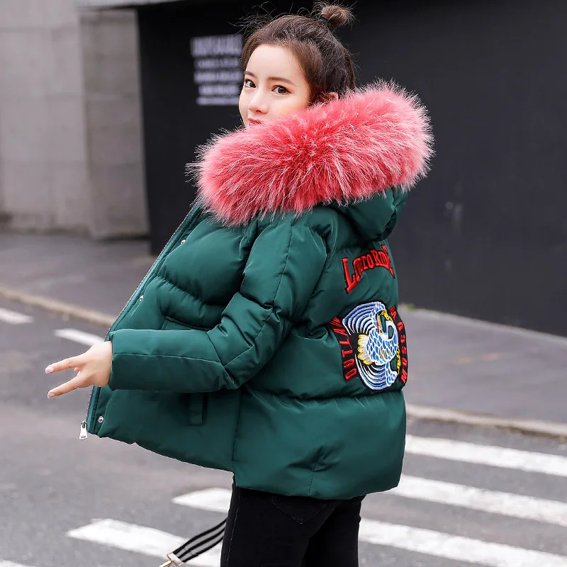 

2019 New Style Winter Cotton-padded Clothes Short Fur Collar Cropped Jacket
