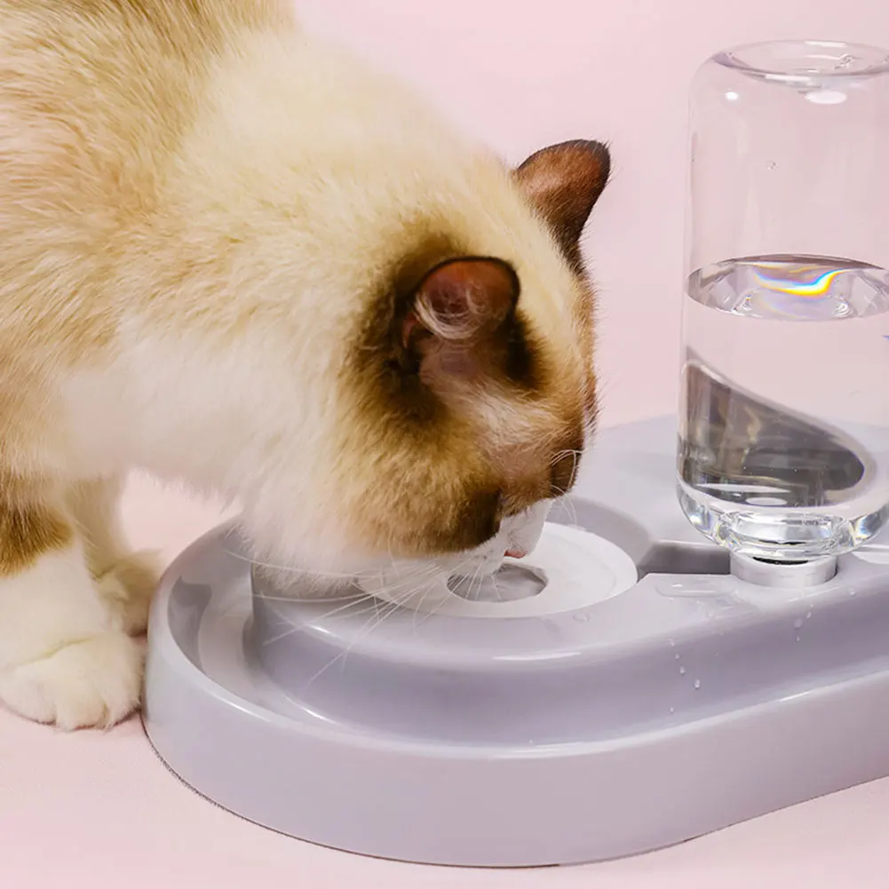 2 в 1 PP автоматический дозатор воды из нержавеющей стали питатель для домашних собак кошек поилка милый Контейнер для корма Нескользящая