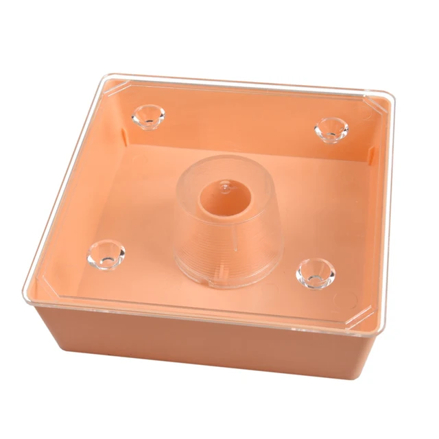 Bee Feeding Box