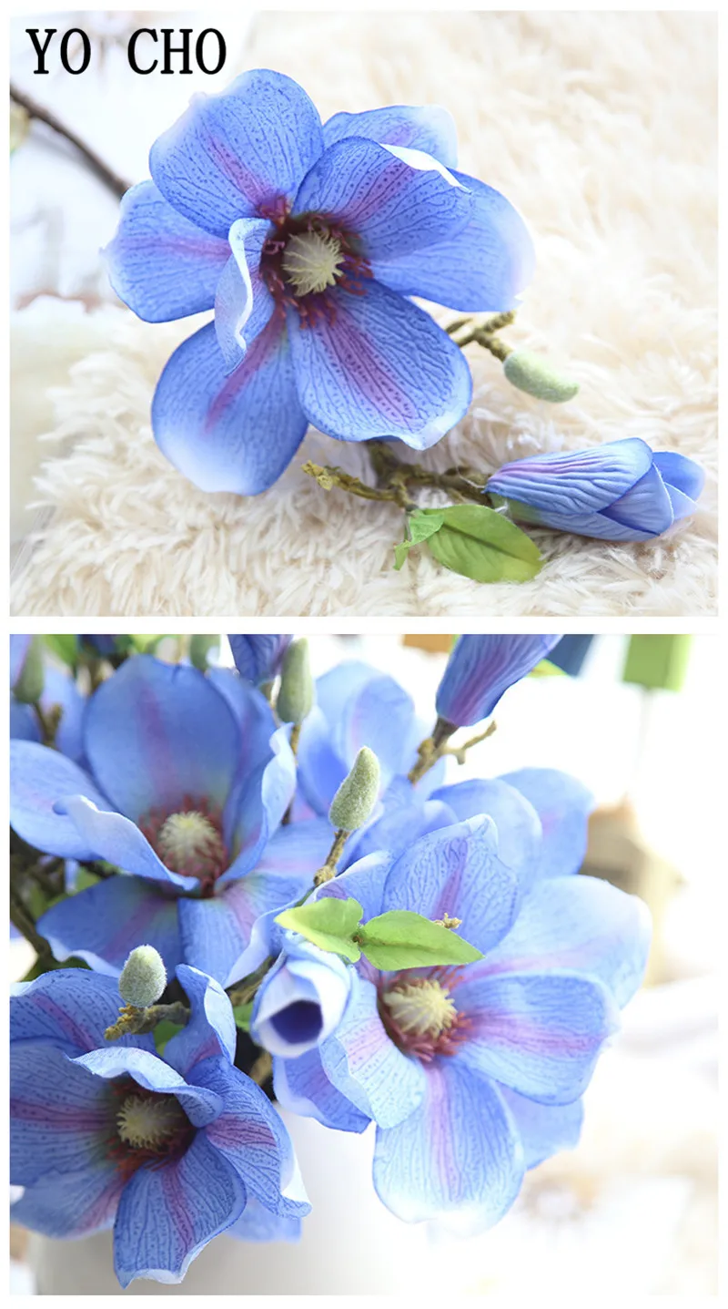 4288916871_1885843273