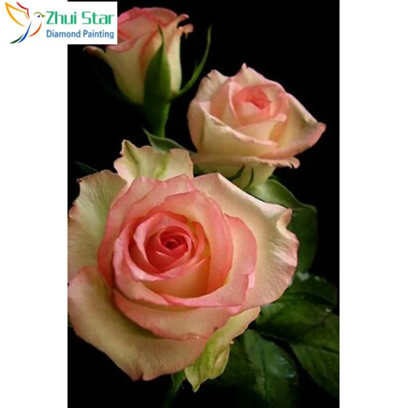 501996026284565  40x50 