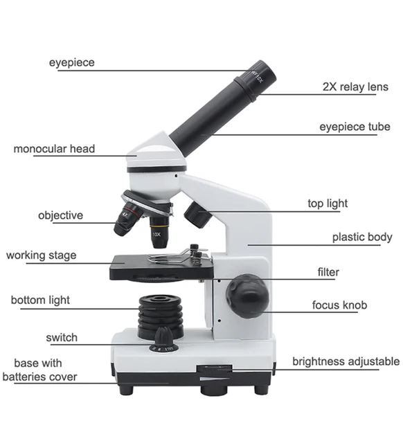Microscope Parts Not Labeled