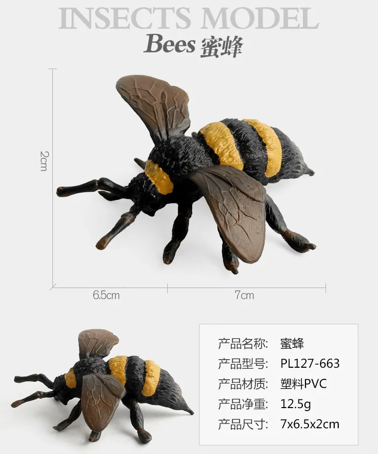 9026866399_1793268619