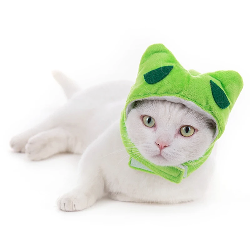 Chapéu bonito para gato desenho dos desenhos animados vestir-se traje  animal de estimação boné manter quente headwear cosplay acessórios para  gatos cães pequenos y5gb - AliExpress