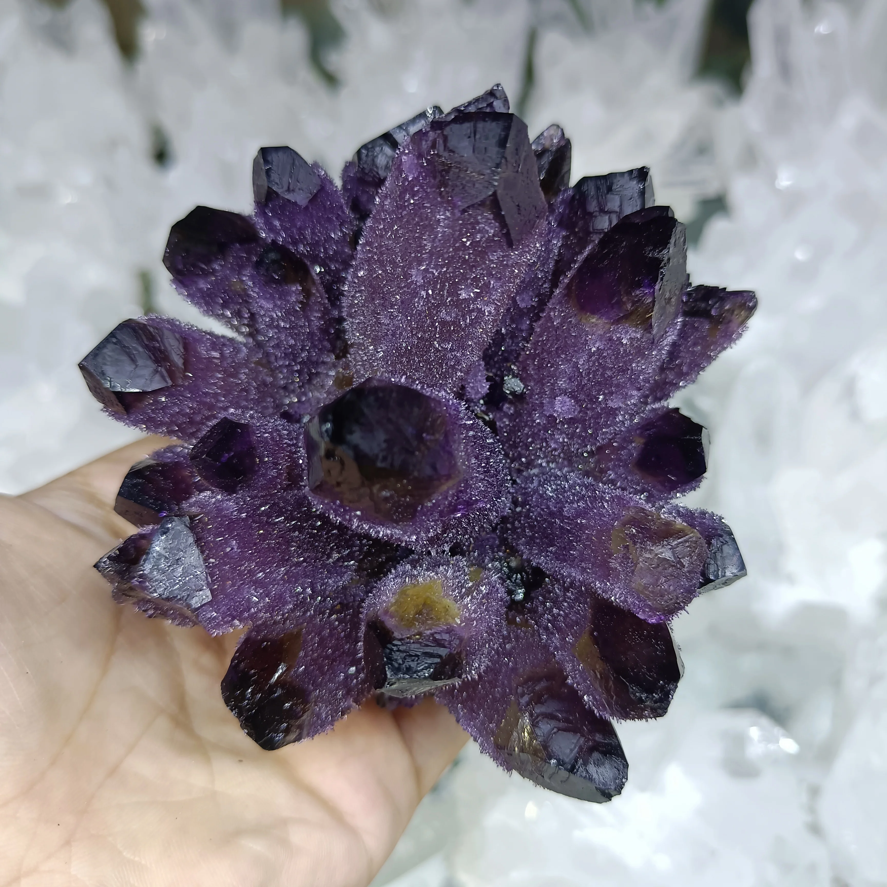 

1pc Natural purple Ghost Phantom Quartz Crystal Cluster Crystal Druse Specimen Minerals Reiki Healing
