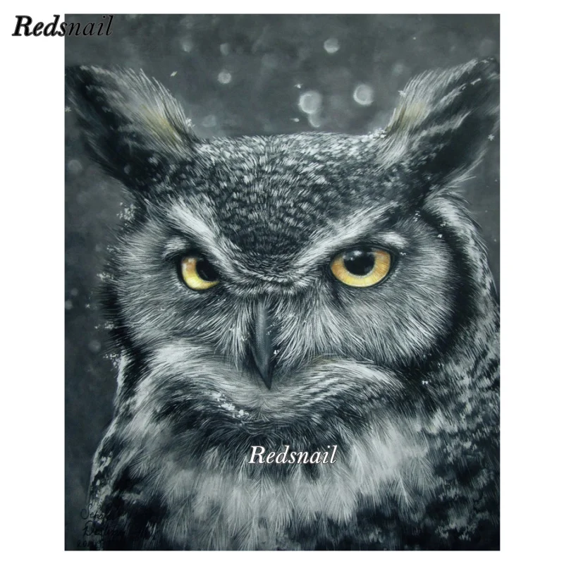 Ава совы. Совы мультяшные. Ава совы. Сова рисунок. Сова мультяшная.