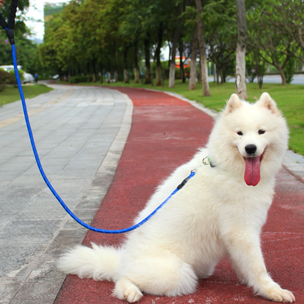 

Reflective Dog Leash Nylon Rope Pet Running Tracking Leash Long Lead Dog collar Mountain Climbing Rope For Medium Large Big Dog