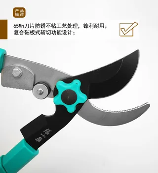 

Rough Branch Shears, Labor-saving Gardening Pruners, Hand Tools for Pruning Branches, Fruit Trees, Branches and Scissors