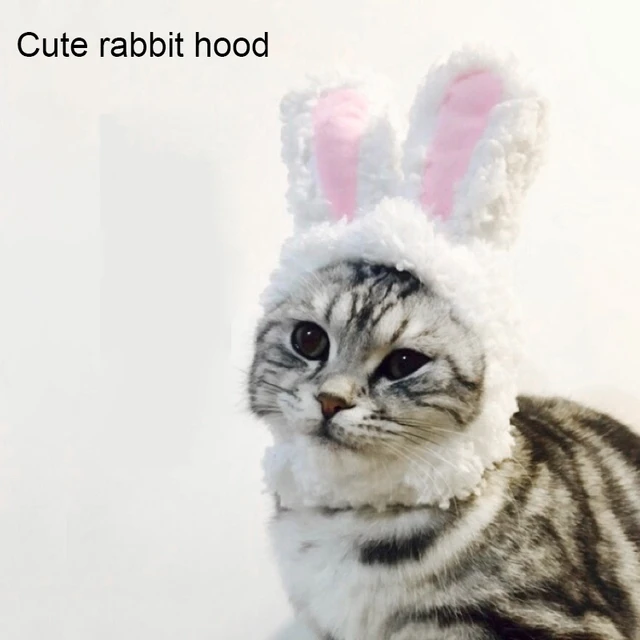 Cat Headgear Cute Pet Dog Cat Caps Rabbit Ears Hats For Cats Kids Bunny  Cosplay Props Bunny Ears Pet Headdress Cat Accessories - AliExpress