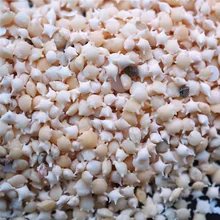 QIAOQIAO DIY коробка пляж натуральная ракушка Морская звезда песок для уф смолы наполнители рамки ювелирных изделий натуральный океан звезда песок