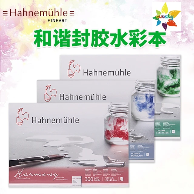  Hahnemuhle Harmony Watercolor Paper 10 Sheets - 20 X 26 Rough  Texture