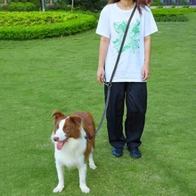 

Dog Leash Hands Free Leashes for Dogs Walking Multifunction Dog Leash Pet Products for Dogs Double Leashes Pets Accessories Belt