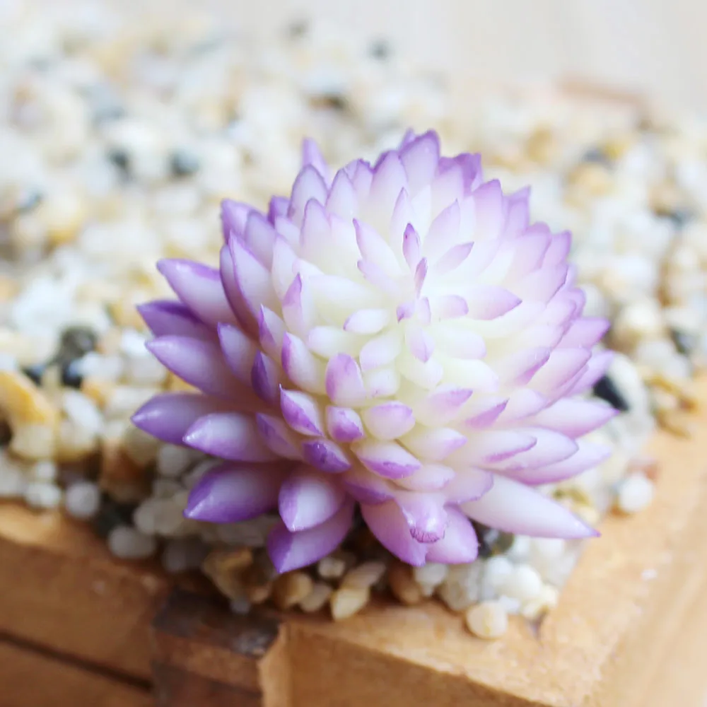 5PcsPack High Quality Simulated Succulent Plants Mini Lotus For Office Table Decoration Festival Gift Artificial Flower JH233 (4)