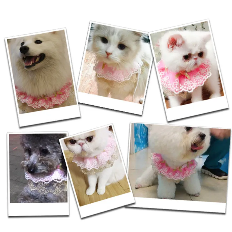 Fashion Princess Lace Flower Pet Cat Collar Scarf Necklace Adjustable Dog Flower Bib Wedding Cat Collars Bells Pet Supplies Fashion Princess Lace Flower Pet Cat Collar Scarf Necklace Adjustable Dog Flower Bib Wedding Cat Collars Bells Pet Supplies