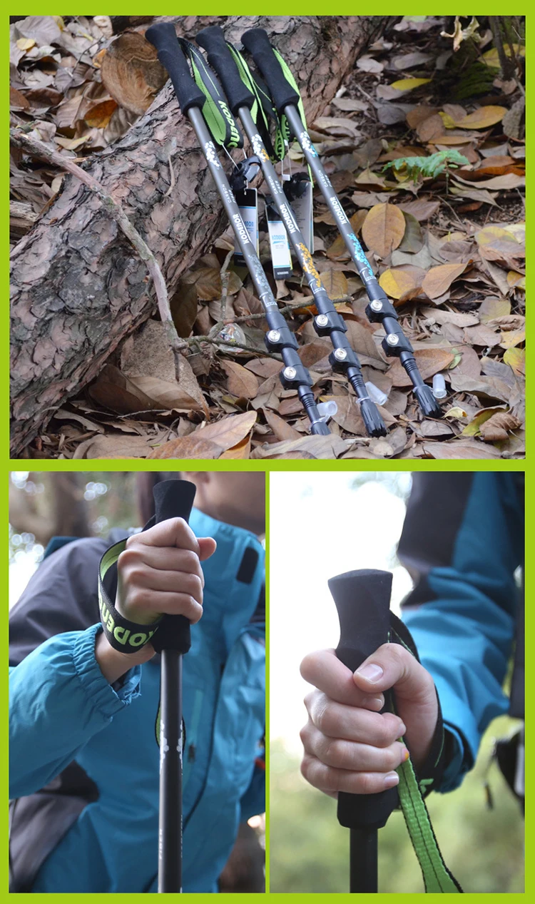 8171857215_1185132737