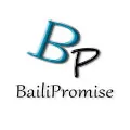 BailiPromise Store