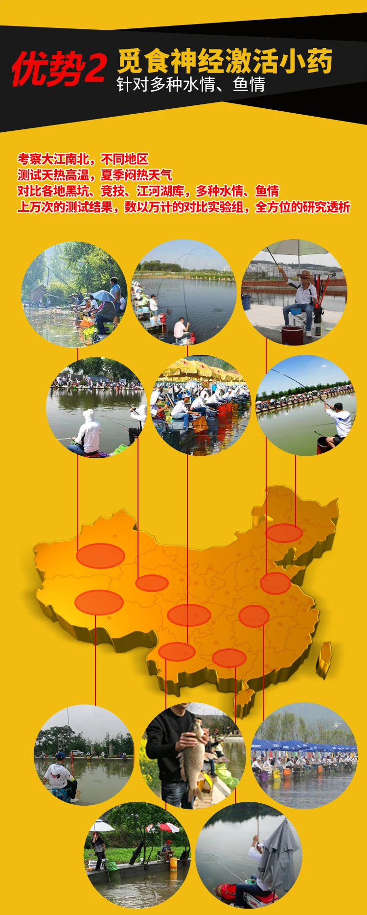 Had Small Fishing Mad Pull Carp High Temperature Small Summer Small Yue 51-100 Yuan Black Pit Fishing Angling Carp Bait