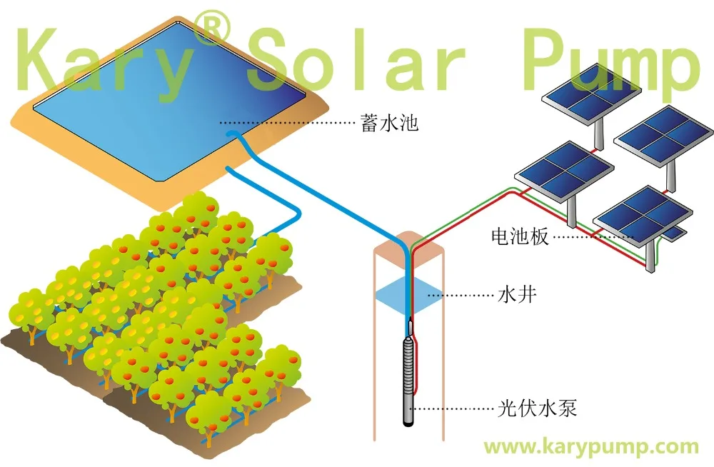 中文详情_20191019092836