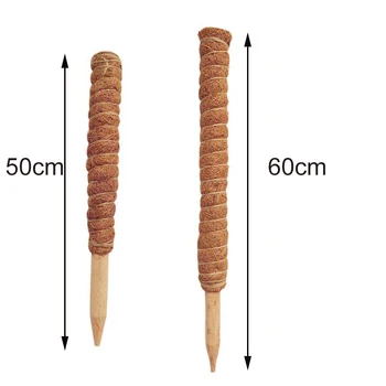 

50/60cm Home Support Coir Moss Palm Vines Stick Climbing Houseplant Creeper Frame Coconut Palm Rattan Moss