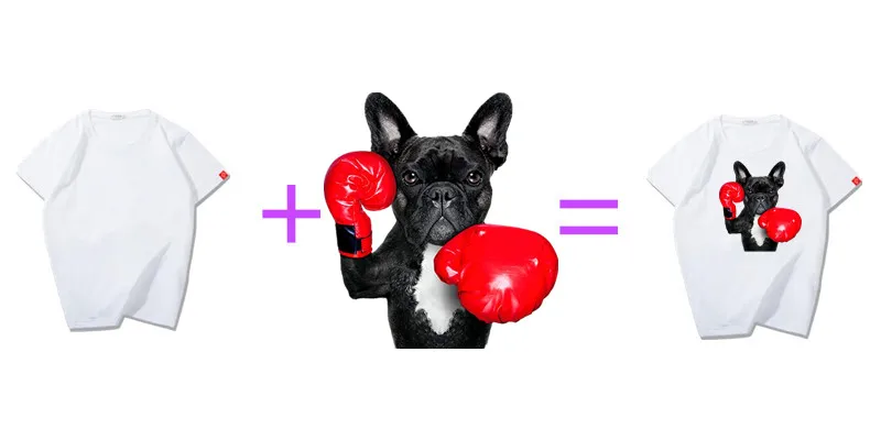 360截图20190929214622253_副本