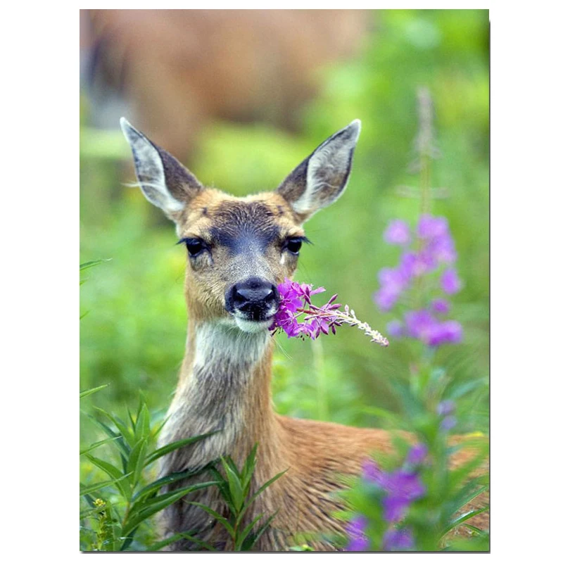 H27b2015c417e4e70a72ee0fc10f58f6aS