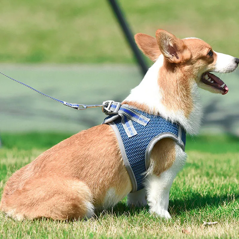 harness4