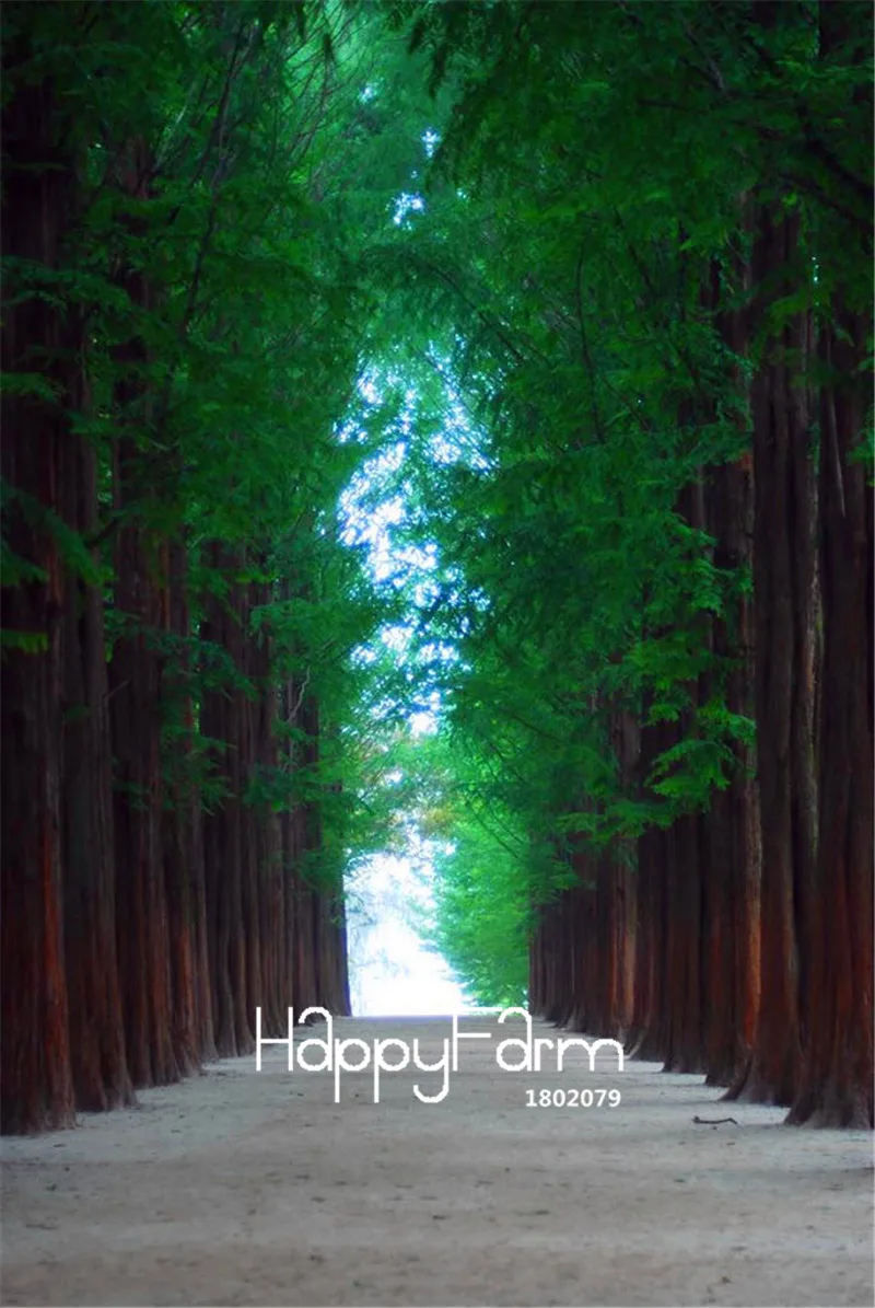 10 шт./упак. Новое поступление! Metasequoia glyptostrooides, Сычуань допотопных хвойных комнатные растения бонсай дерево сад