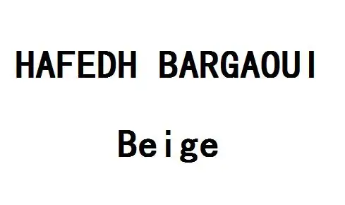 HAFEDH BARGAOUI премиум/разница в цене бежевый |