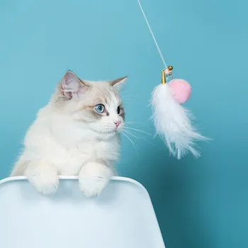 

Cute Pet Cat Double Head Funny Cat Funny Cat Light Pen Toy Pet Interactive Toy Cat Fun Toy Supplies