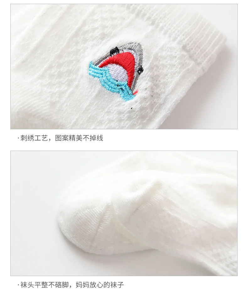 20190729_095952_034