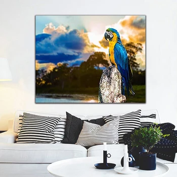 

DIY colorings pictures by numbers with parrot picture drawing Relief painting by numbers framed Home