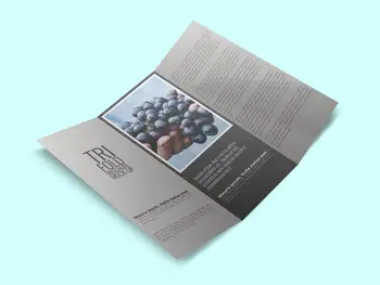 

Cheap wholesale CMYK four color Heidelberg printing（6page gate folding）