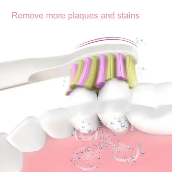 Fairywill Electric Sonic Toothbrush FW-508 USB Charge Rechargeable Waterproof Electronic Tooth Replacement Brush Heads for Adult 5